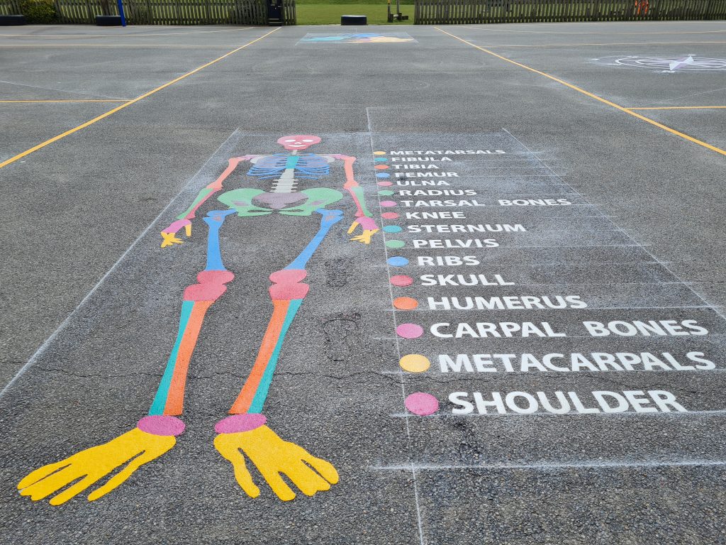 Educational Playground Markings