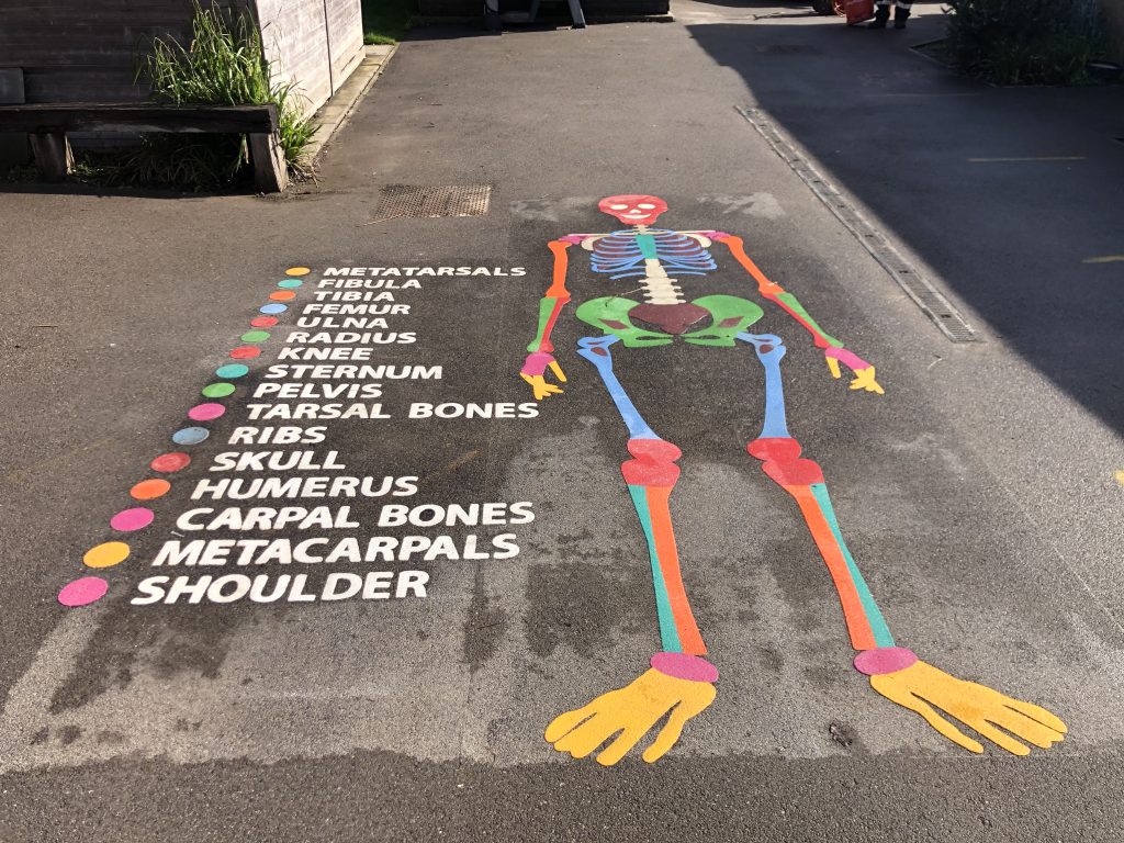 Educational Playground Markings